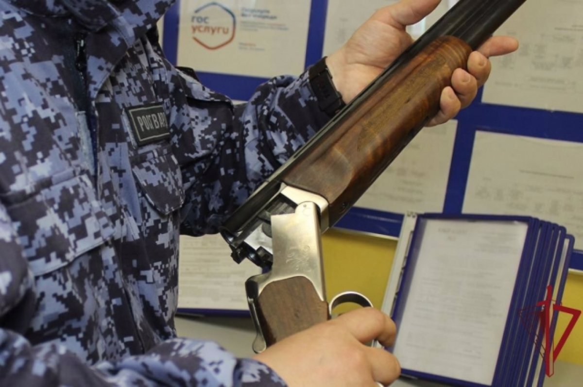    Амчанин пошёл на Бежин луг по грибы, а нашёл два ствола