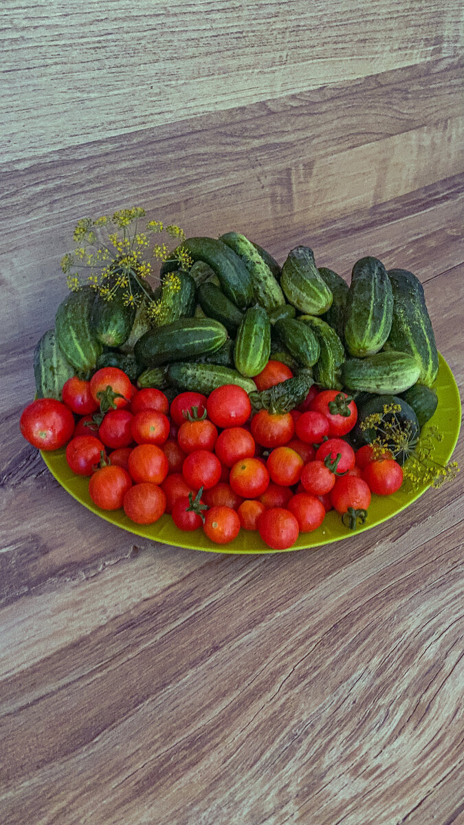 Овощи очень нужны нашему организму 
