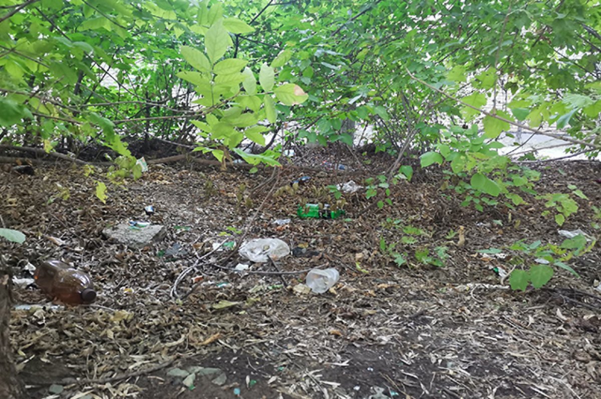    Сильный ветер в Оренбурге повалил деревья