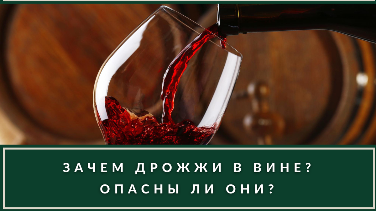 Зачем нужны дрожжи в вине и опасны ли они? Зачем они в производстве? |  ВИНОТЕКА.РЕДАКЦИЯ | Дзен