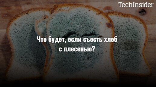 Что будет, если съесть хлеб с плесенью?