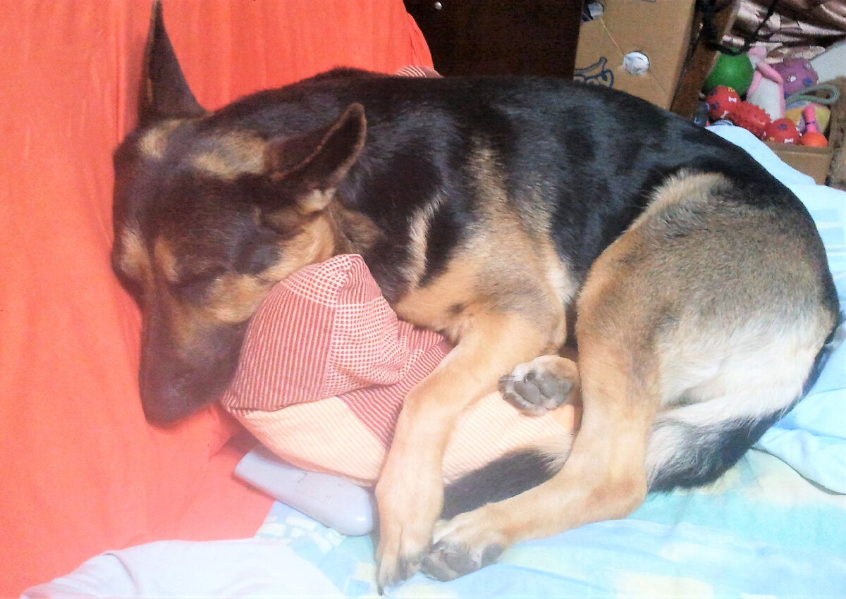 Фото автора