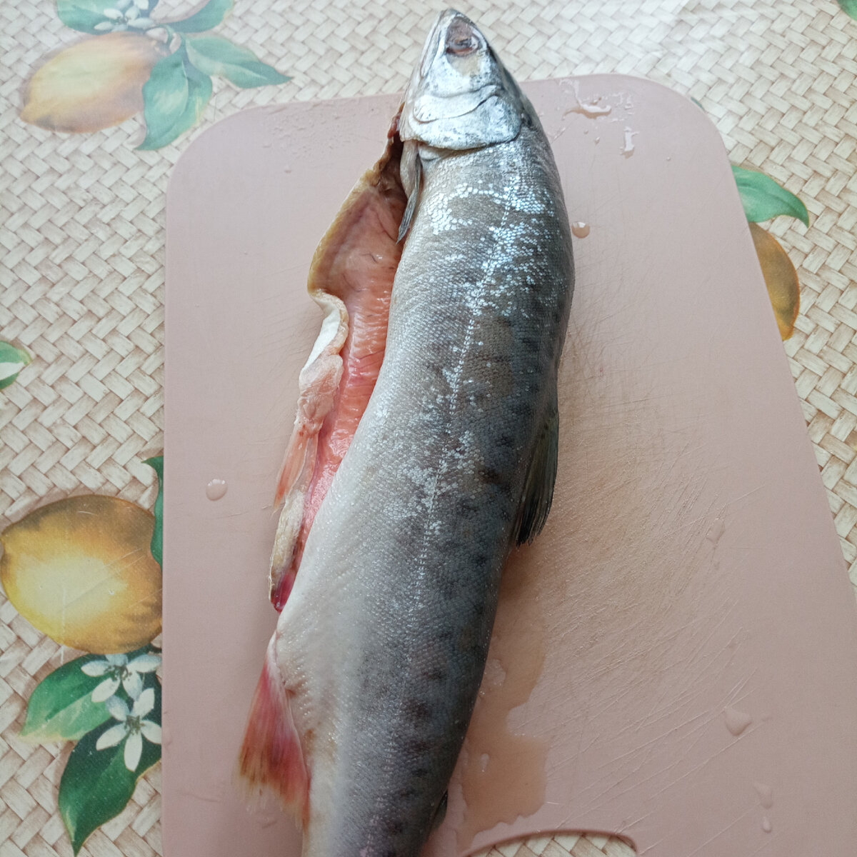Горбуша