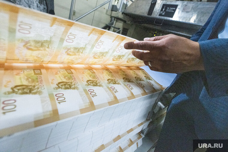    Власти РФ поддержали экономику и социальную сферу в новом проекте бюджета