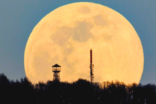 Из открытых источников.