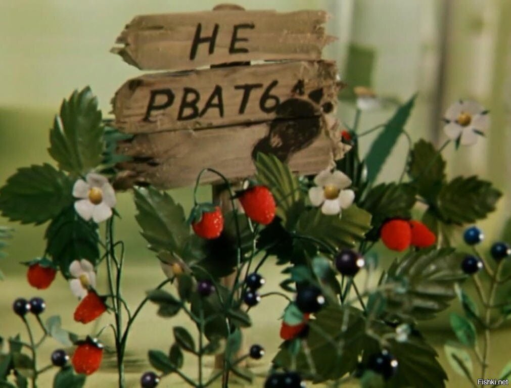 ПРО РАСТЕНИЯ ТОЖЕ СКАЗАНО В СТАТЬЕ