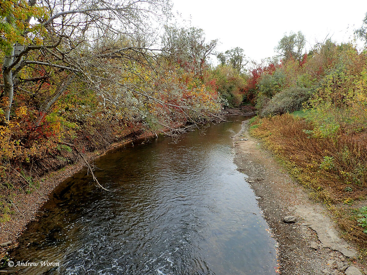 Река Крынка у одноименного села