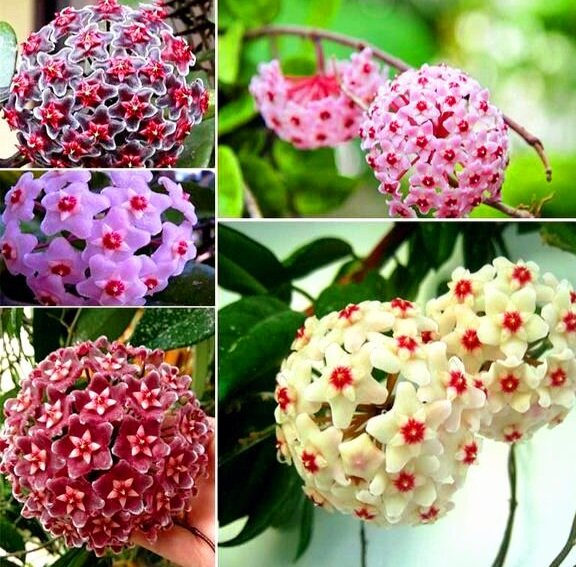 Фото интернет 