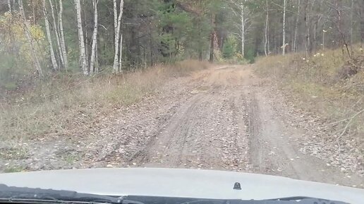 Поездка в лес поздней осенью