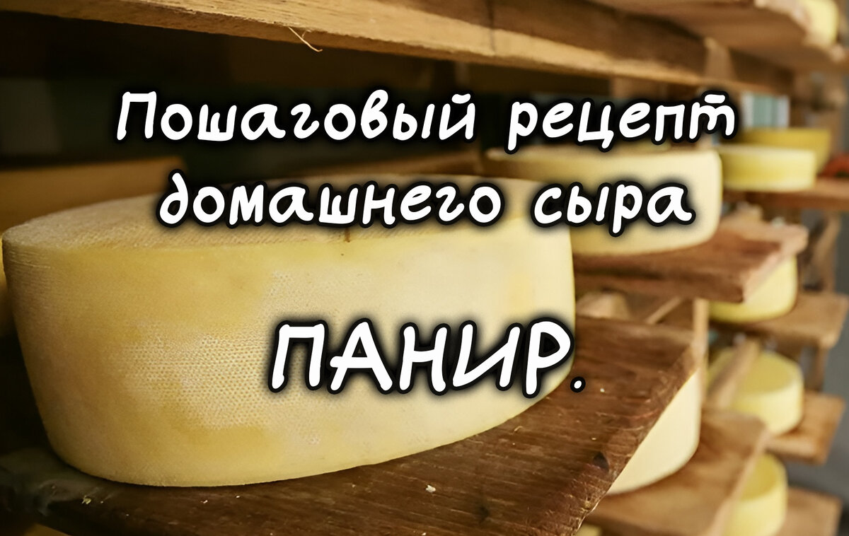 Простые рецепты адыгейского сыра в домашних условиях