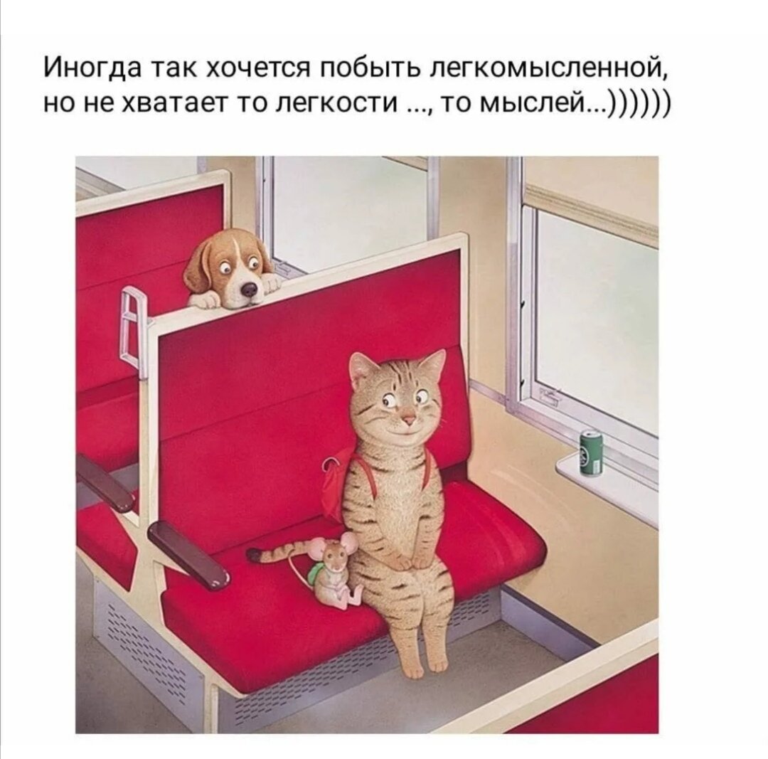 давай залезай в шкаф