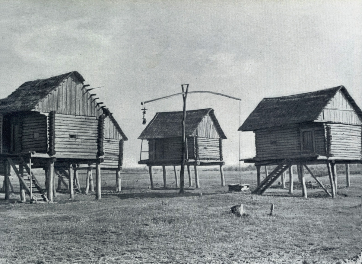 Бани в деревне Вёжи