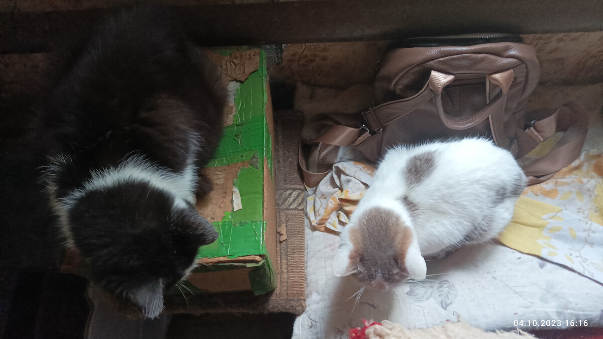 Верочка справа. 