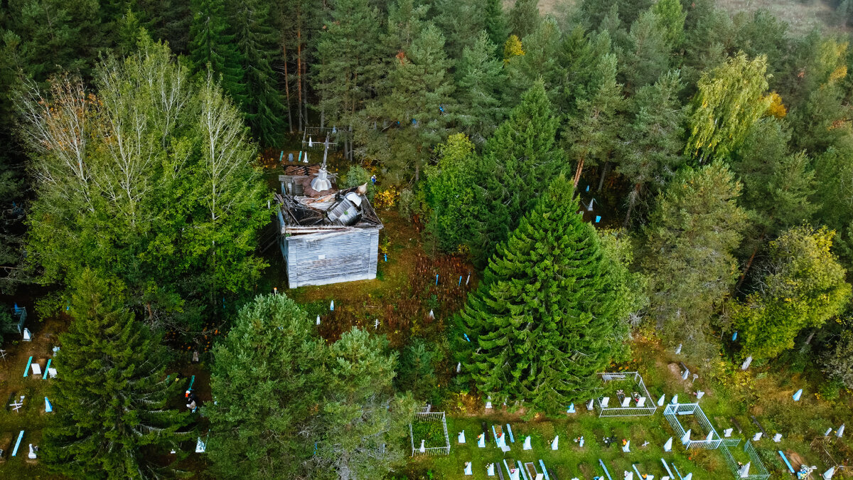 Часовню когда-то строили в чистом поле, но за 120 лет кладбище заросло лесом