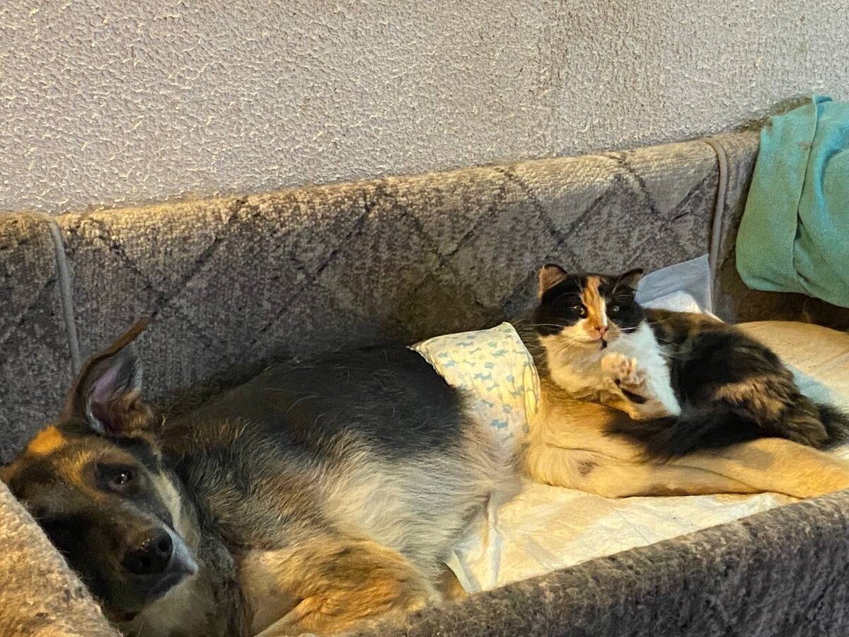 Рома с Нюсей