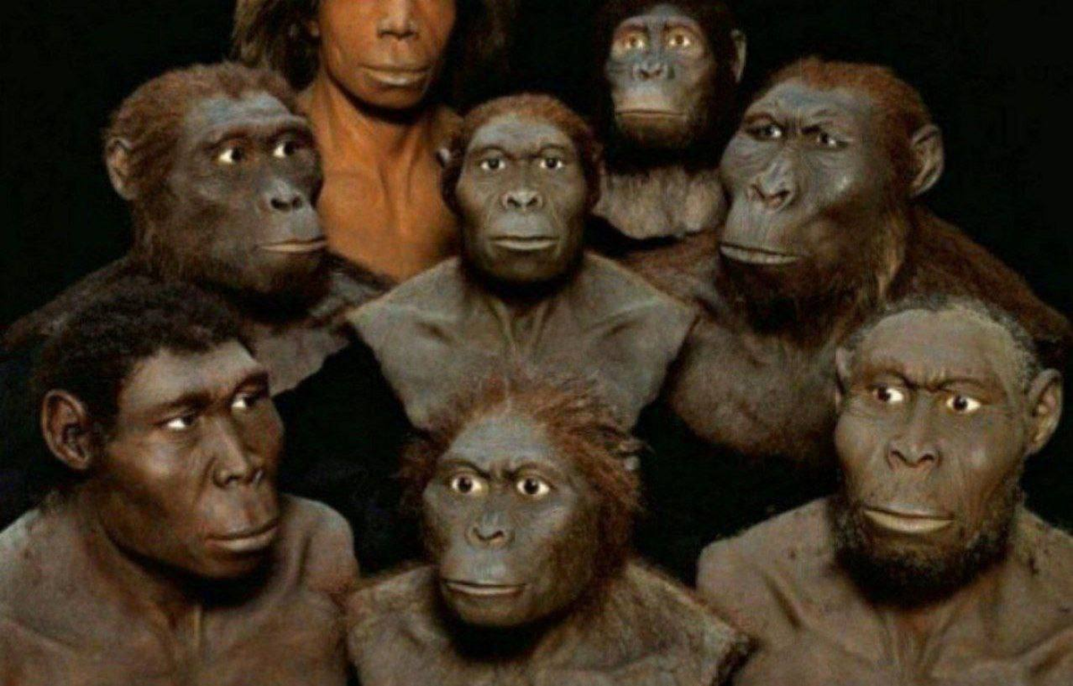 Доисторические обезьяны. Древние люди обезьяны. Человекообразные обезьяны австралопитеки. Древние приматы. Как появились обезьяны