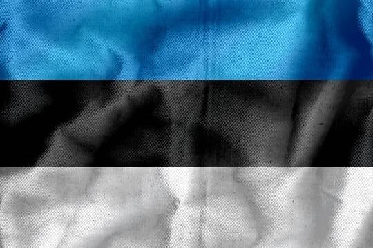    Кая Каллас призналась в опасениях из-за мигрантов в Эстонии