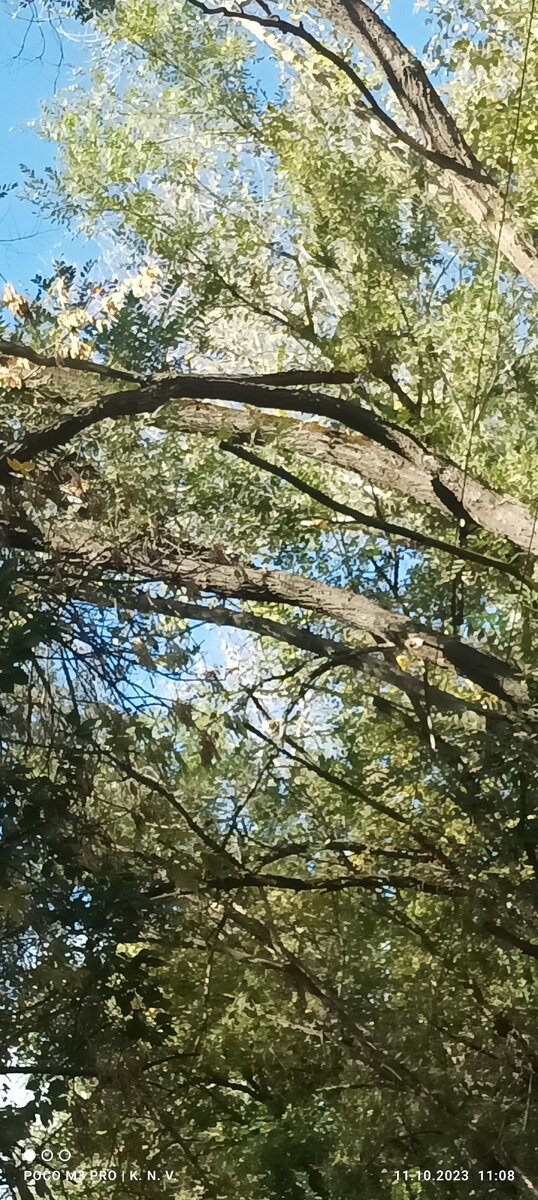 Над прохожей частью и выход почти из подъезда. Луганск