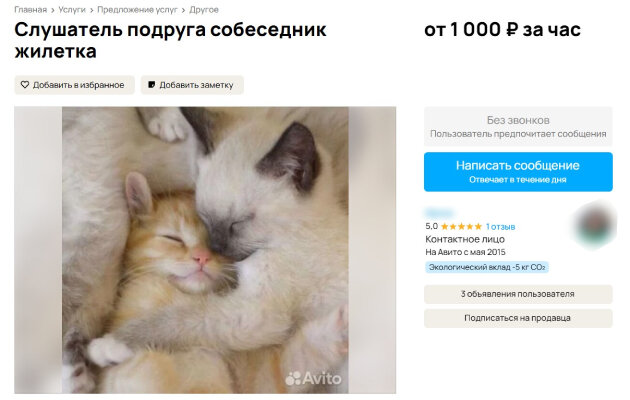 Фото: Pr Scr avito.ru