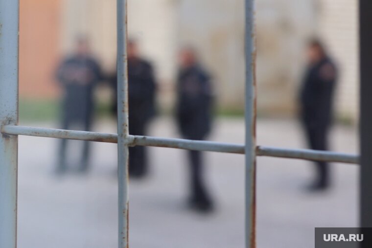    Три адвоката Навального* отправлены в СИЗО