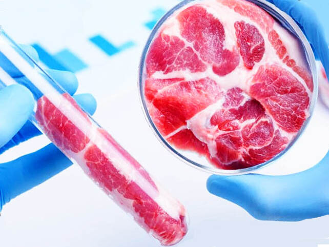 Бактерий, вирусов и антибиотиков в искусственном мясе не будет. Зато могут быть искусственные гормоны и химические примести, помогающие мясу расти. Вместе с этим в растительном мясе нет железа, витамина В12 и многих других веществ, которые нужны организму. 
Источник argumenti.ru