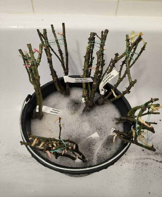 ФОТОГРАФИЯ ЧИТАТЕЛЯ