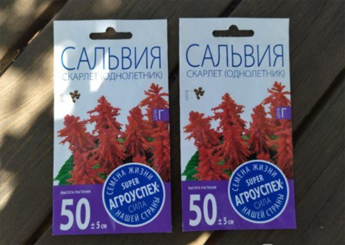Сальвия сверкающая, семена, фото упаковки.