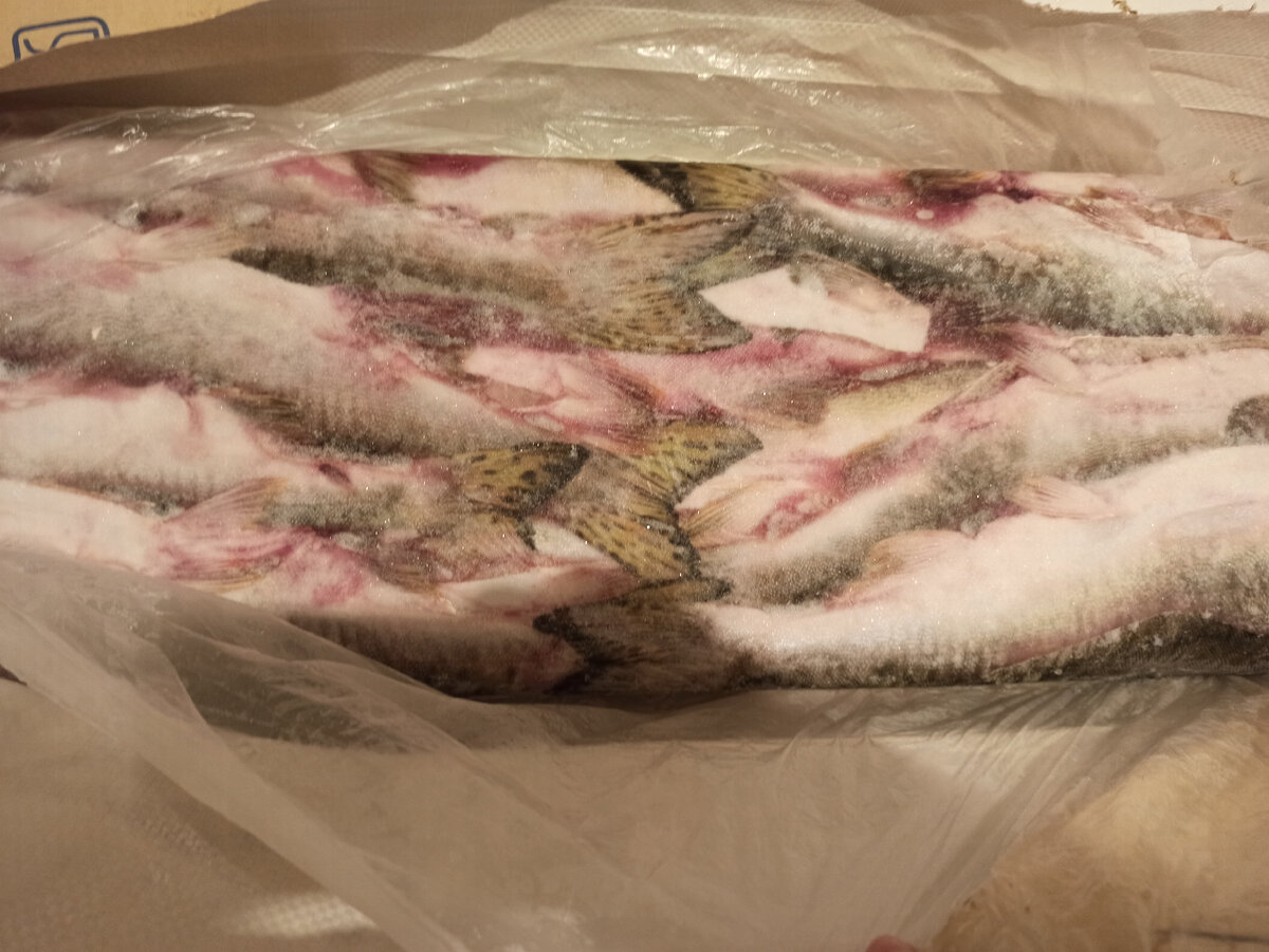 Та самая горбуша. Сейчас чуть подтает и начну раздирать поштучно. Далее распределю по пакетам, потом  в морозилку