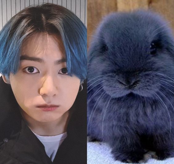 Так вот почему он Крольчонок...