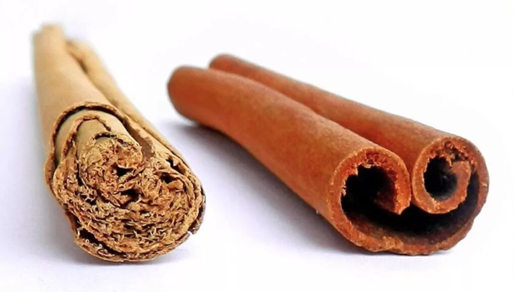 Настоящая корица и кассия. Корица цейлонская и кассия отличия. Как отличить корицу от кассии. Цейлонская корица и кассия. Корица подделка.