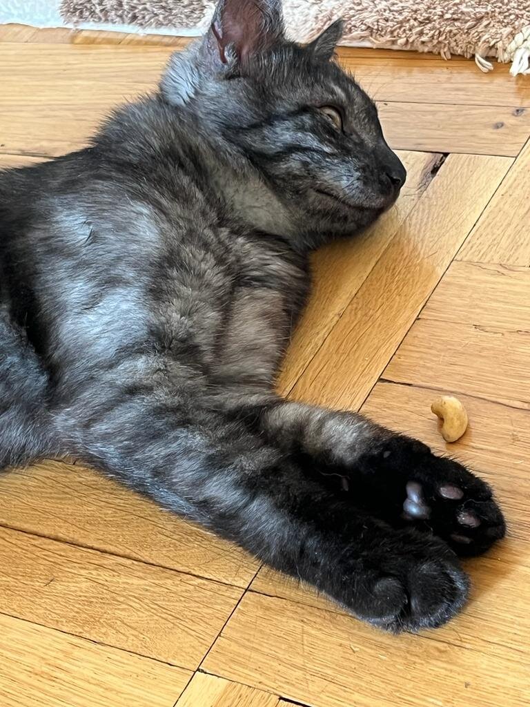 Ульфик не знал, что его ждёт