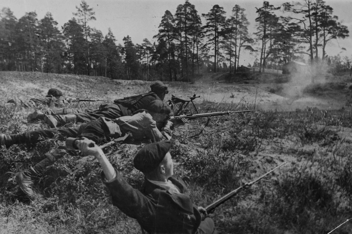 Партизанский 87. Подвиги белорусских Партизан. Белорусские Партизаны фото. Лидер белорусских Партизан.