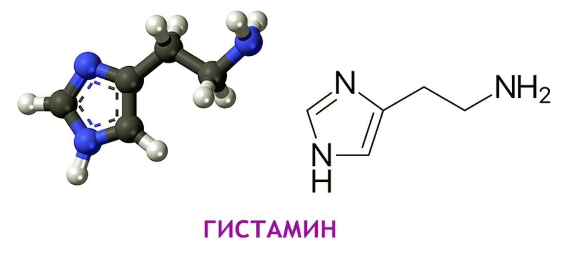 Высвобождением гистамина. Гистамин химическая формула. Гистамин структурная формула. Гистамин строение. Гистамин молекула.