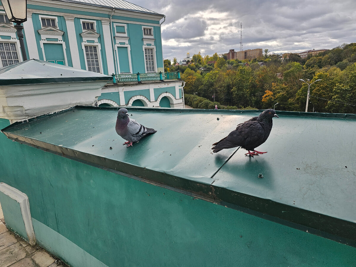 Экскурсии по Смоленску. Октябрьские прогулки по древнему городу -  продолжение. Фотогалерея - самые красивые 