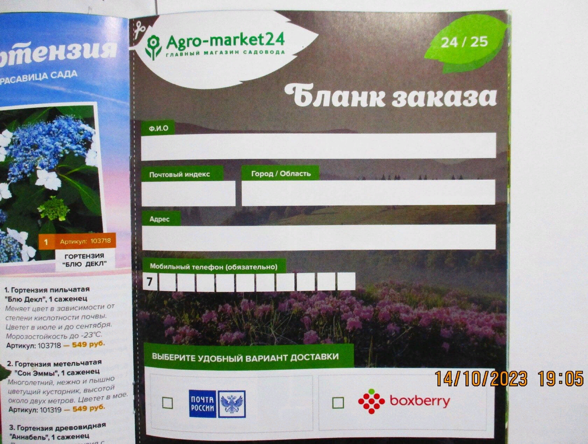Маркет 24 саженцы. Растение Агро. Пенза Эгро Маркет футбол АГРОМАРКЕТ