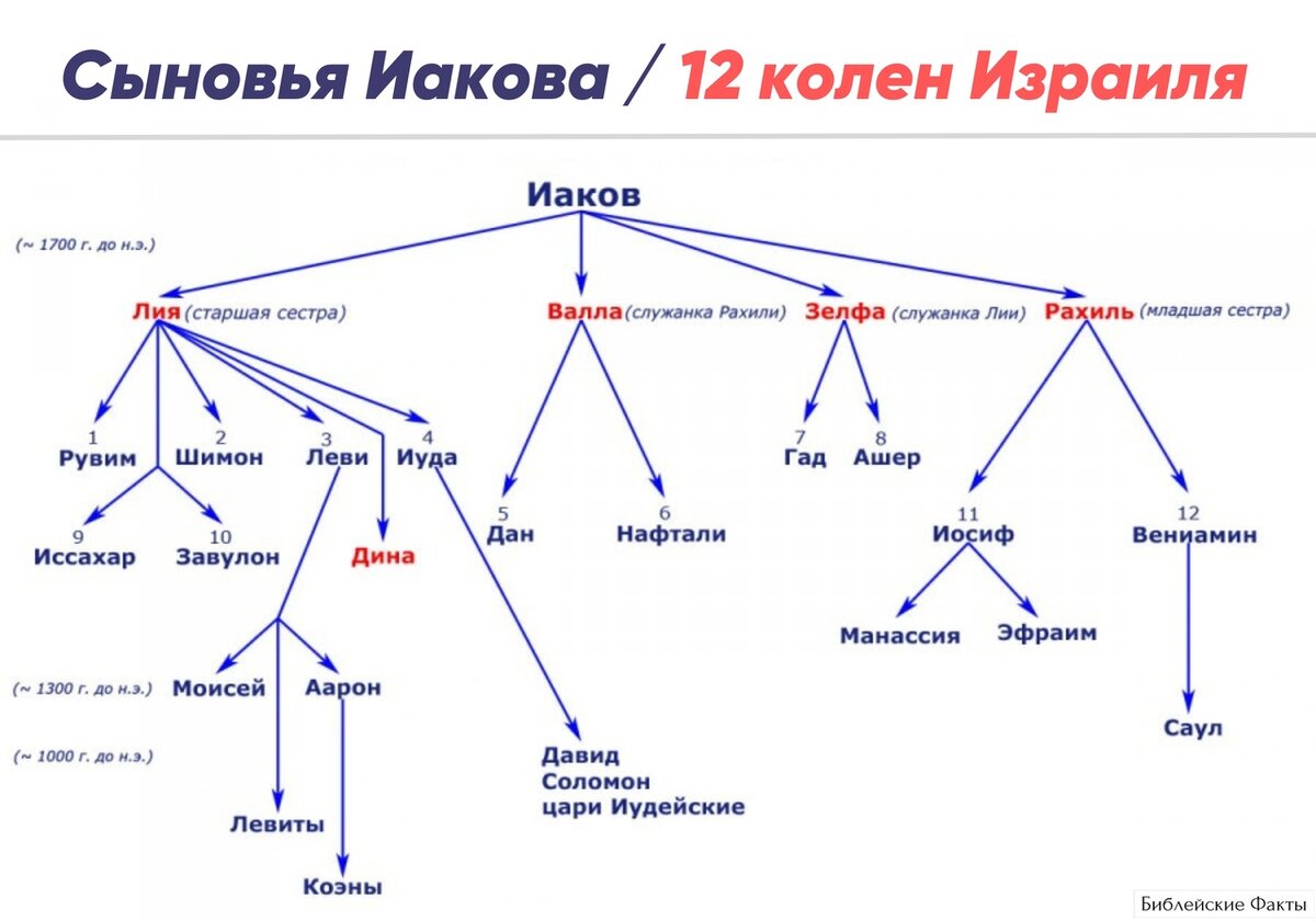 12 колен израилевых карта