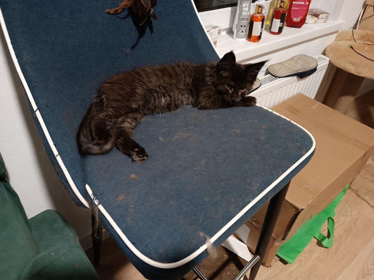 Это я, когда с Урсулой наговорилась. Или она со мной?