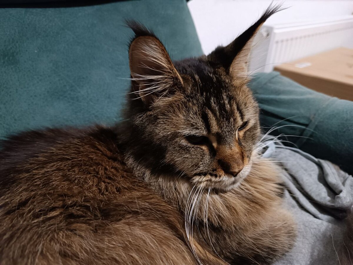 Такая грустная Урсула была. Правда, жалко её?