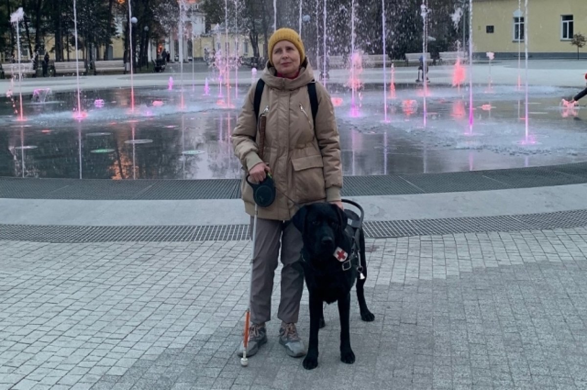    Сибирячке не дали компенсацию за погибшую собаку-поводыря в троллейбусе