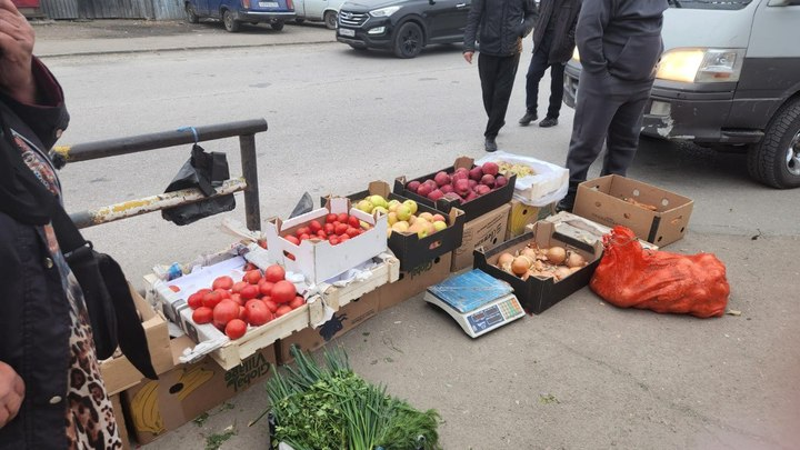Фото: мэрия Новосибирска