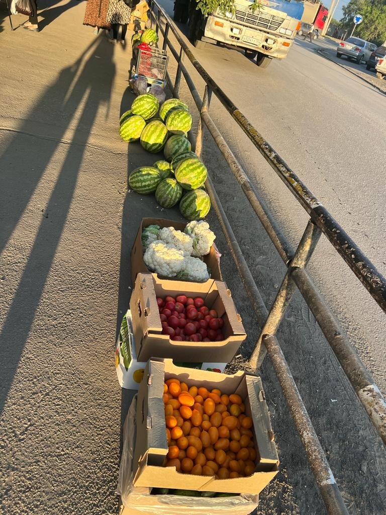 Фото: мэрия Новосибирска