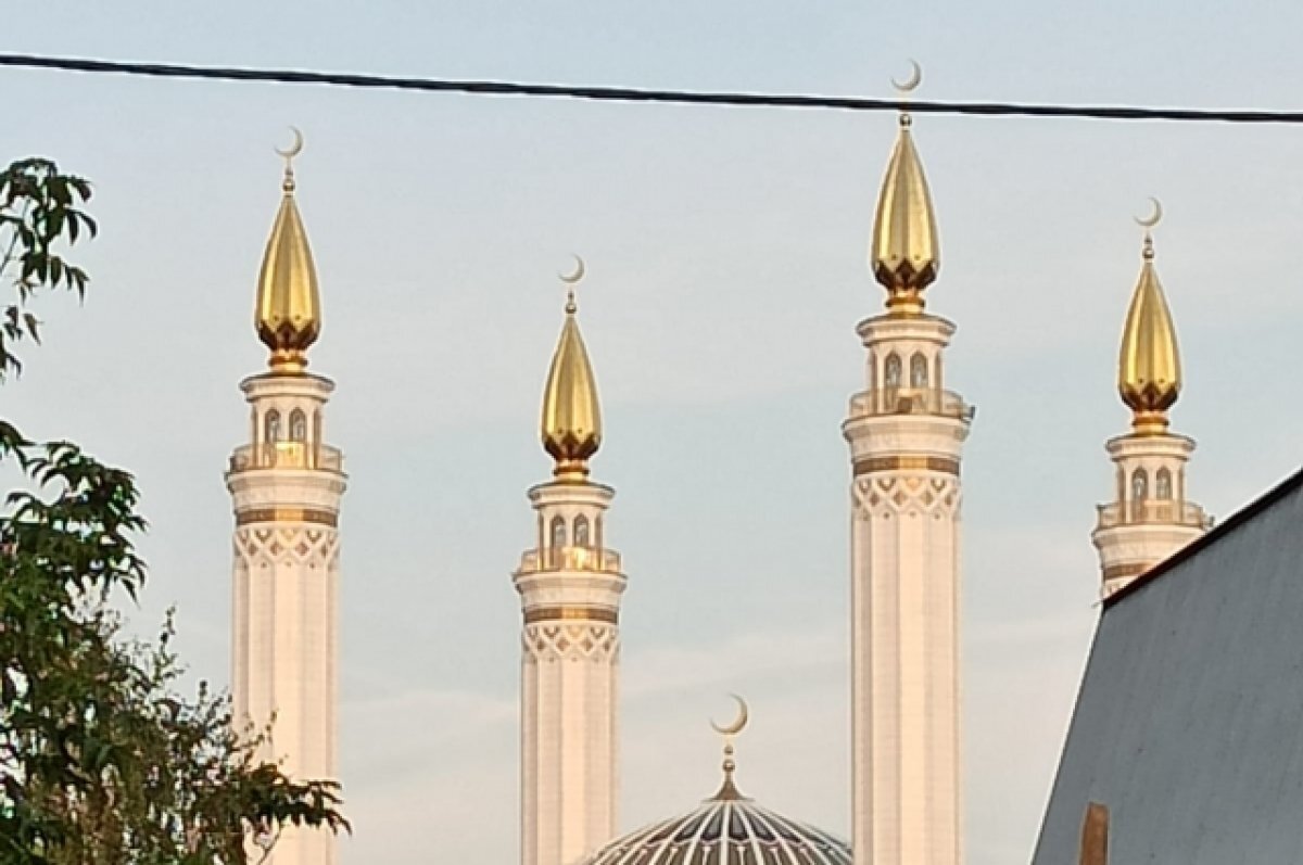    Арабские Эмираты и Катар готовы помочь достроить мечеть «Ар-Рахим» в Уфе