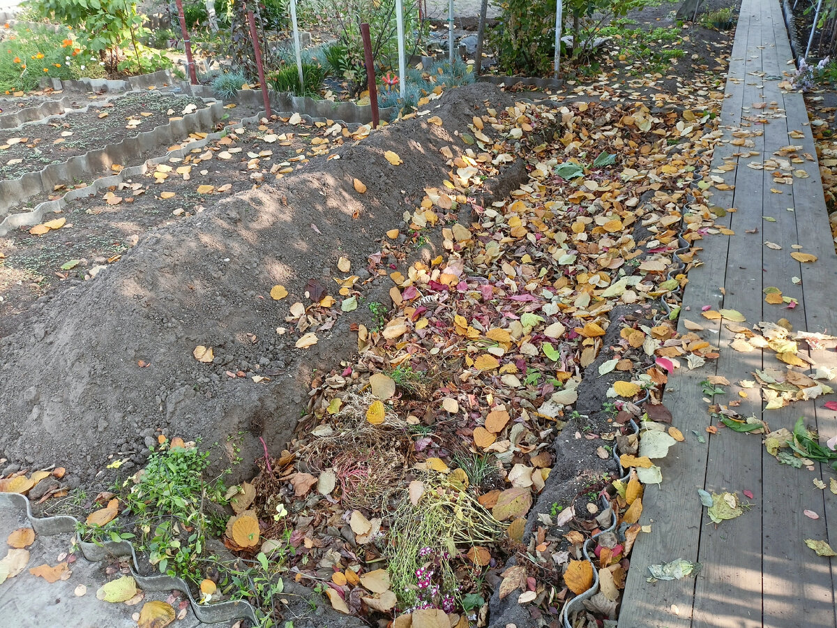 Фото Николая Барышева