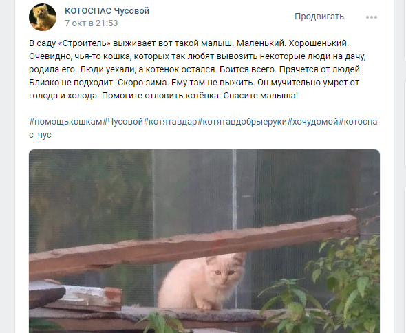 Сигнал о помощи