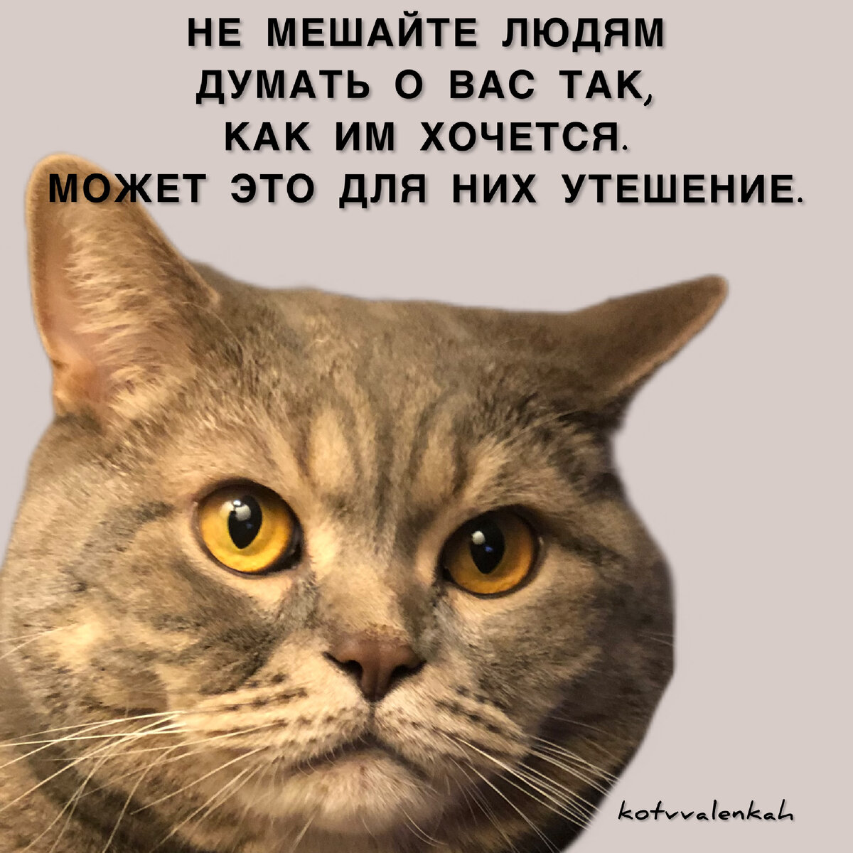 -6