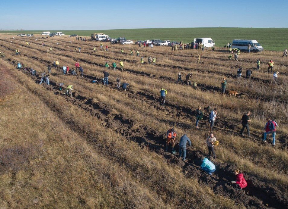    Важным аспектом является изучение и инвентаризация объектов живой природы. Фото: Пресс-служба Государственного музея-заповедника "Куликово поле"