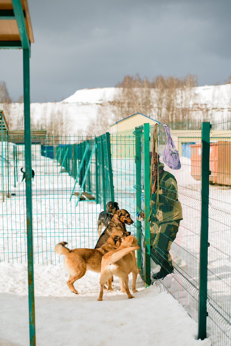 Вся жизнь в рамках забора
