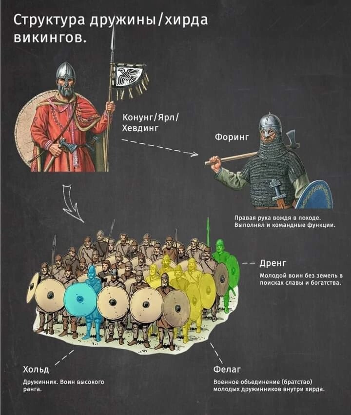 структура дружины