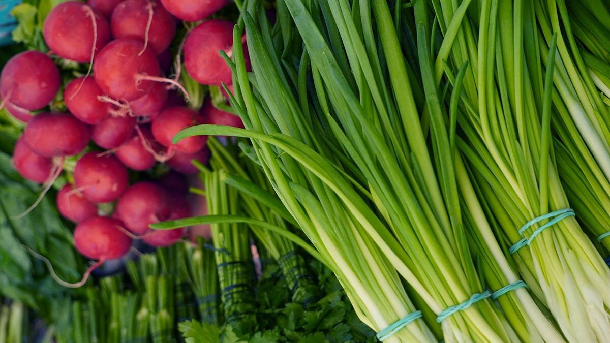    Фото: Анатолий Цымбалюк / Вечерняя Москва