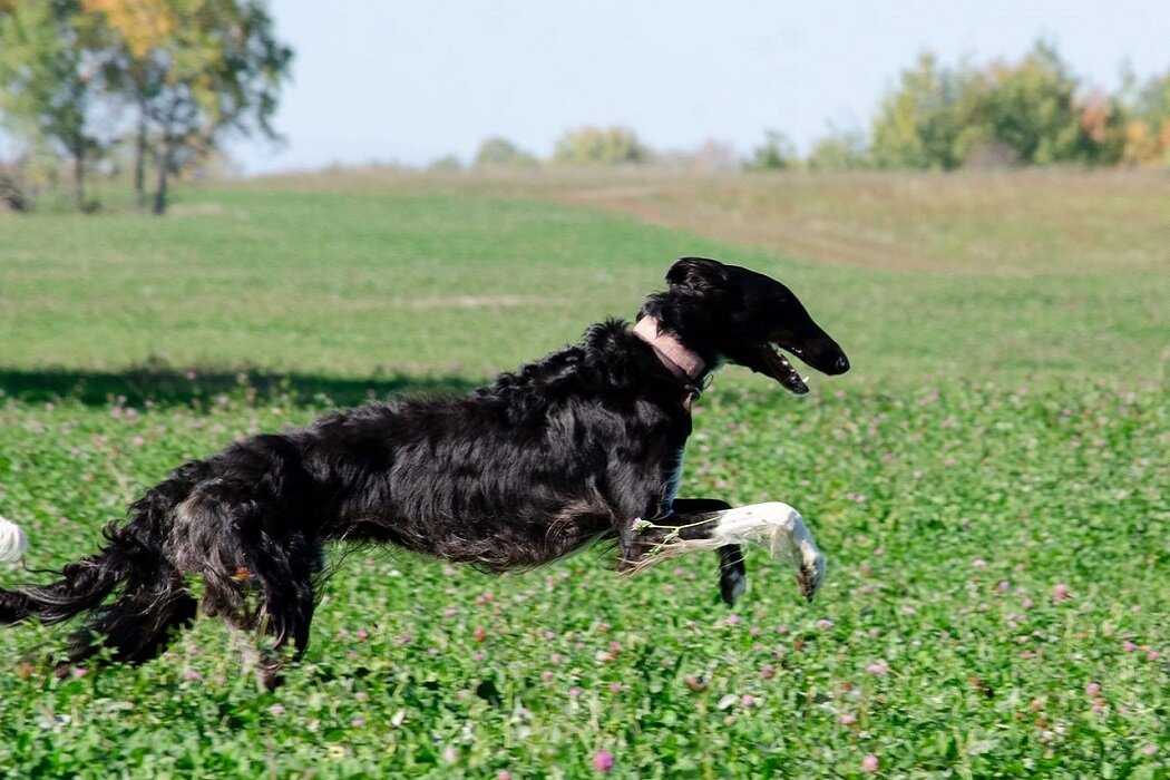    Фото Вадима Зайнутдинова предоставлено ИА «Уральский меридиан» Анной Константиновской Вера Яковлева